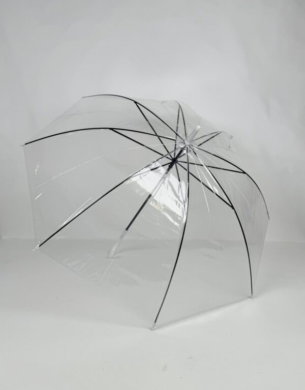 Transparent Umbrella (9)