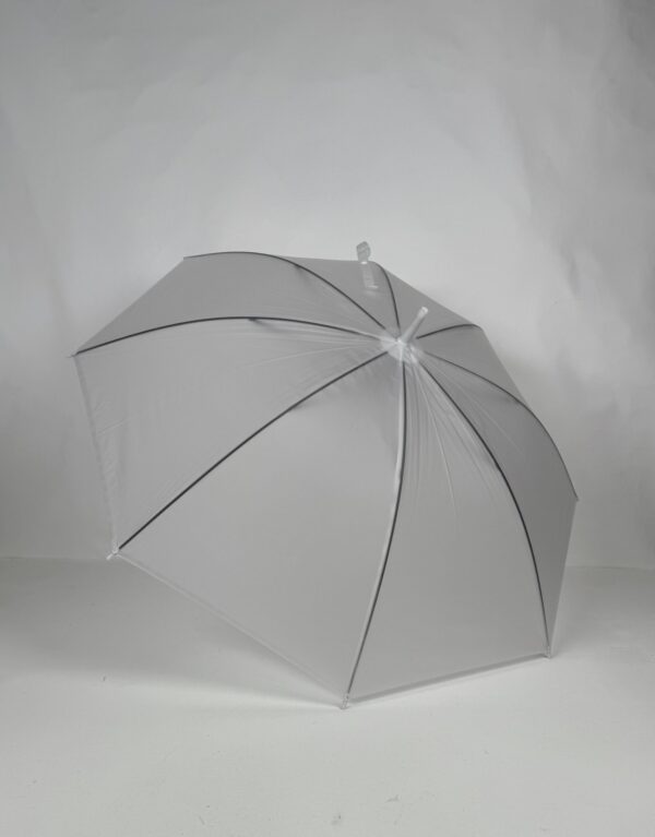Translucent Umbrella (10)