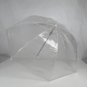 Transparent Umbrella (12)_Button Open L