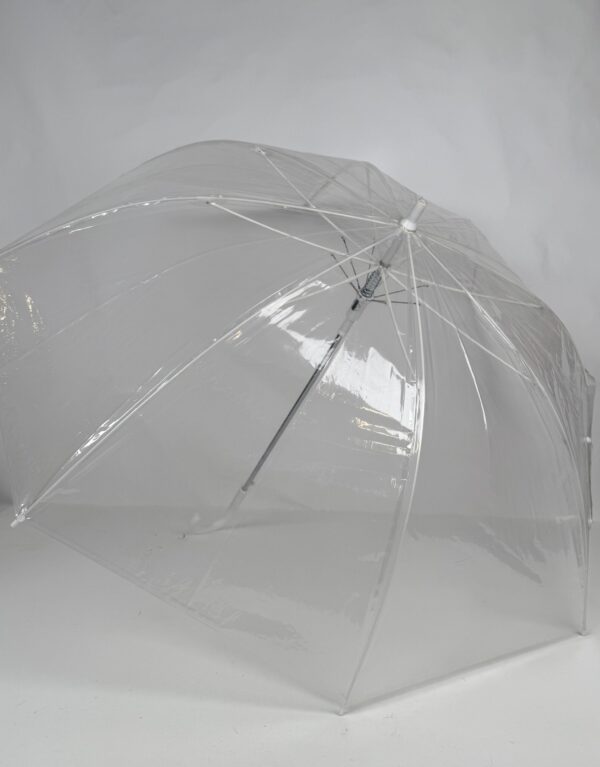 Transparent Umbrella (12)_Button Open L