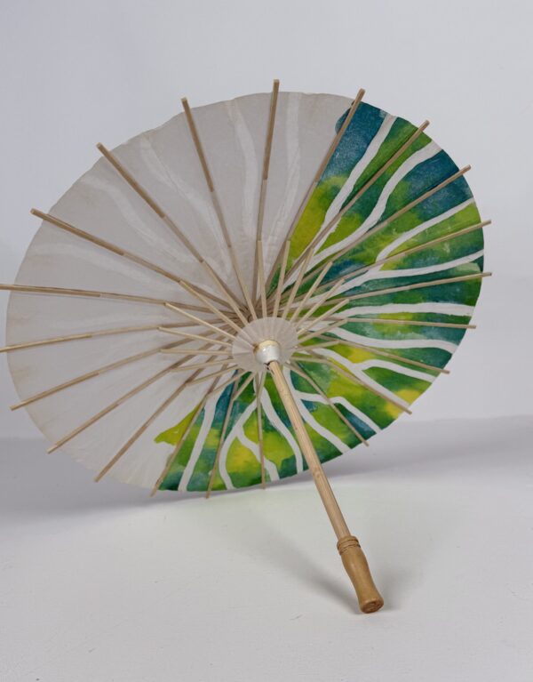 Colourful Paper Umbrella (3C)
