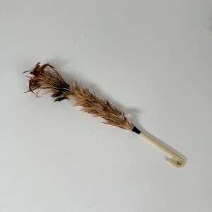 Feather Duster (1)