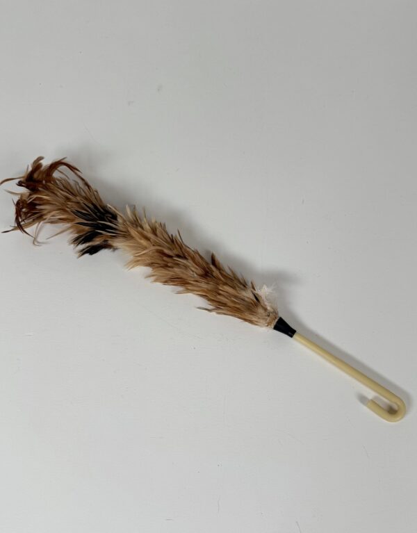 Feather Duster (1)