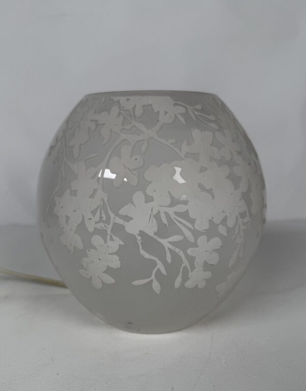 Lamp with original shade (19)_Frosted Glass Floral Print Round lamp