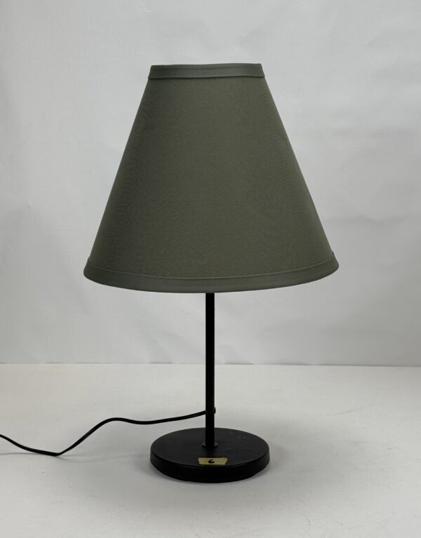 Lamp Shade (24)_Muted Green Shade