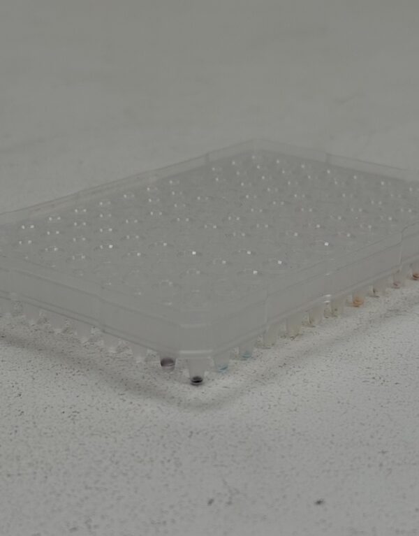 Lab Props_96 PCR Plate