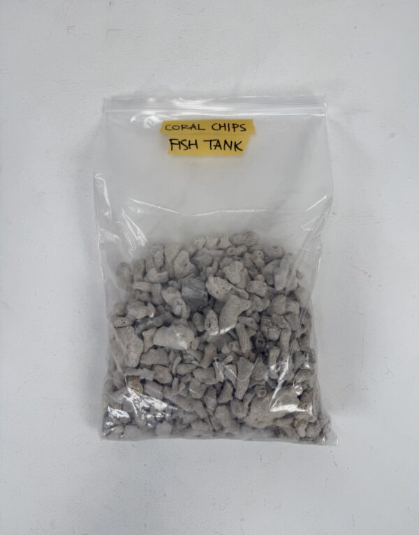 Lab Props_Coral Chips (in a bag)
